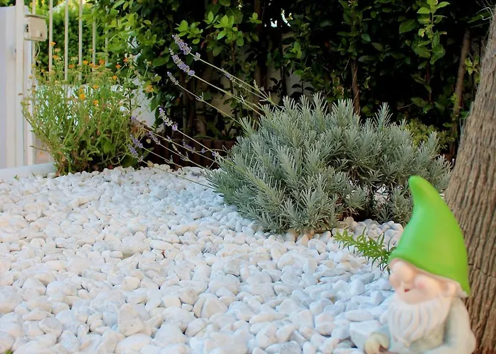 Ecoliving Oda ve Kahvaltı